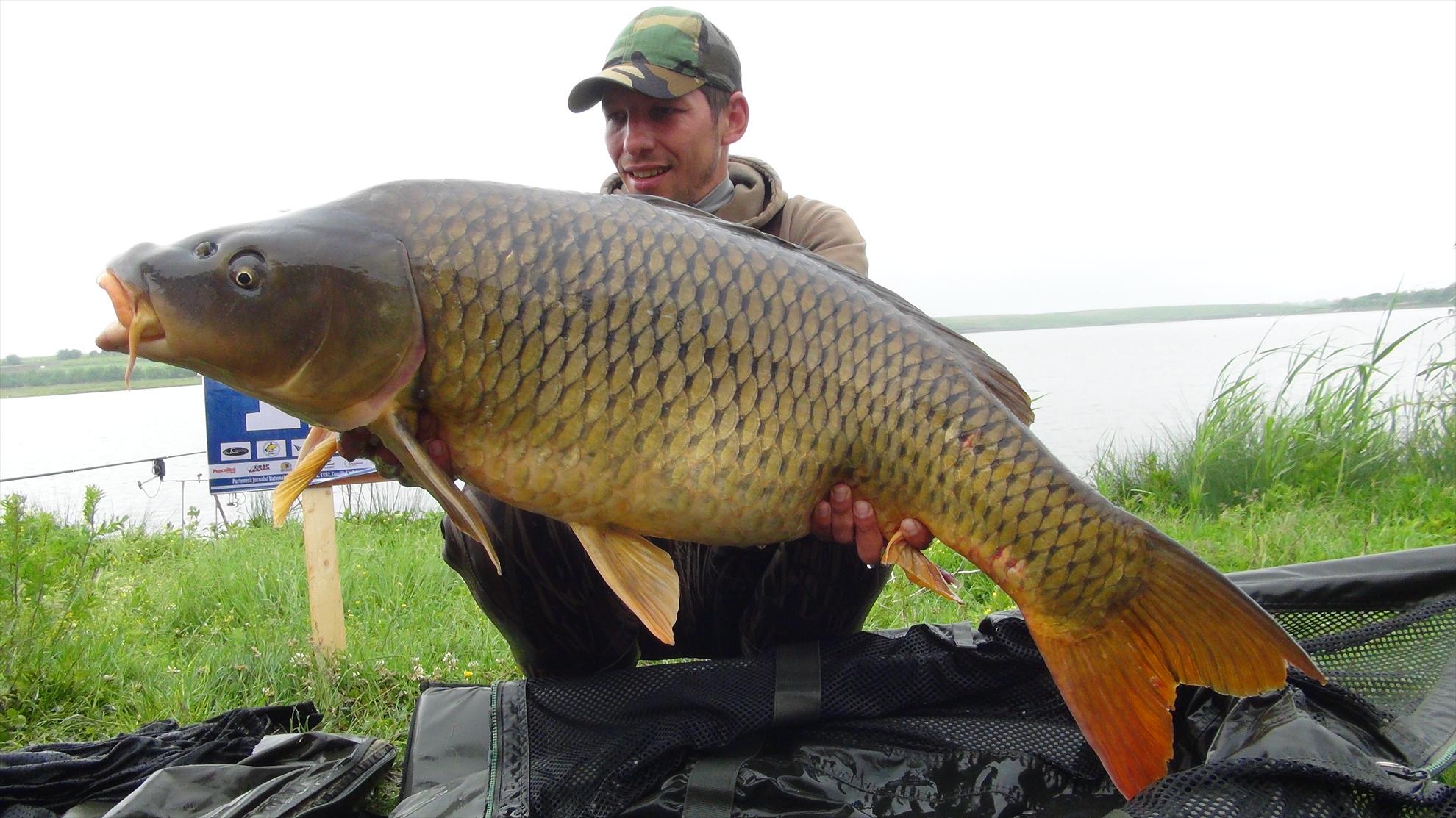 Foto dulapi - dsc00192.JPG